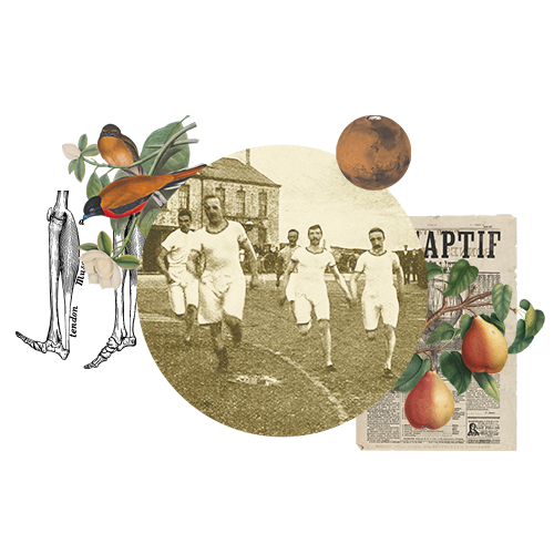 Mijn job als ... (met Wannes Swinnen)