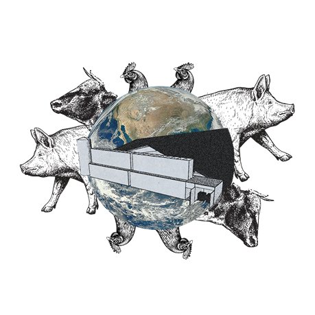 Longread stikstofcrisis