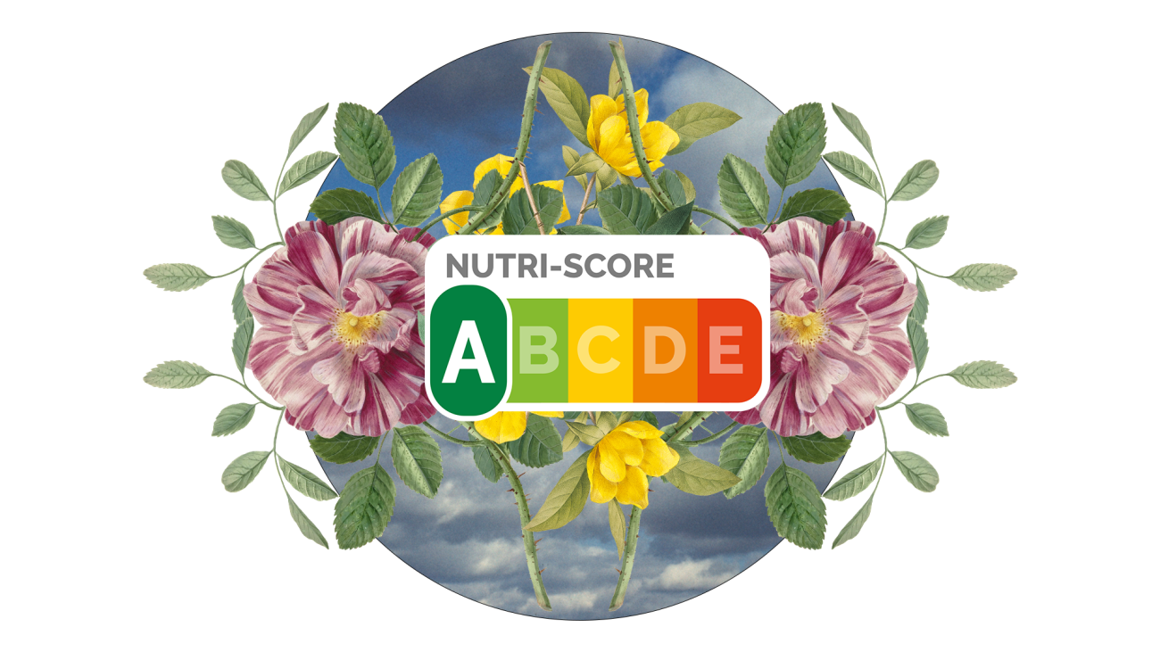 Kennismakers Thema 6: Door de maag - Kijk-, lees- en luistertips