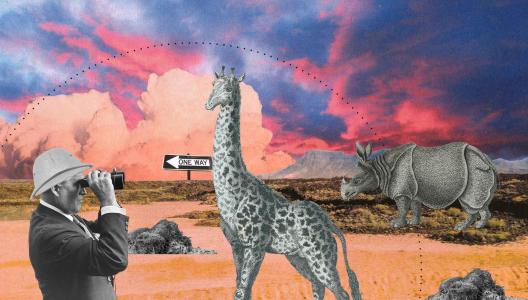 Impact herbivoren op plantengroei