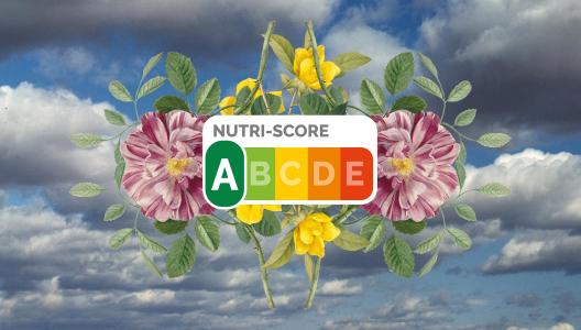 Kennismakers Thema 6: Door de maag - Kijk-, lees- en luistertips