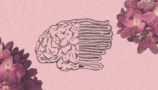 Kennismakers Thema 6: Door de maag - Mijn job als