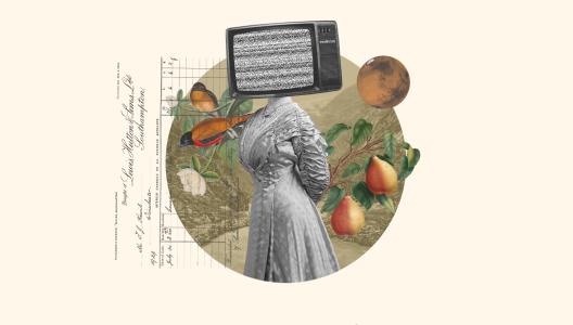 De medische revolutie