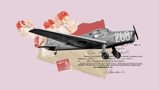 Kennismakers 15 - Longread