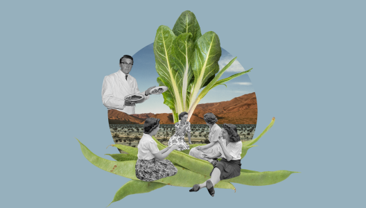 Speeddate - Voedingkeuze